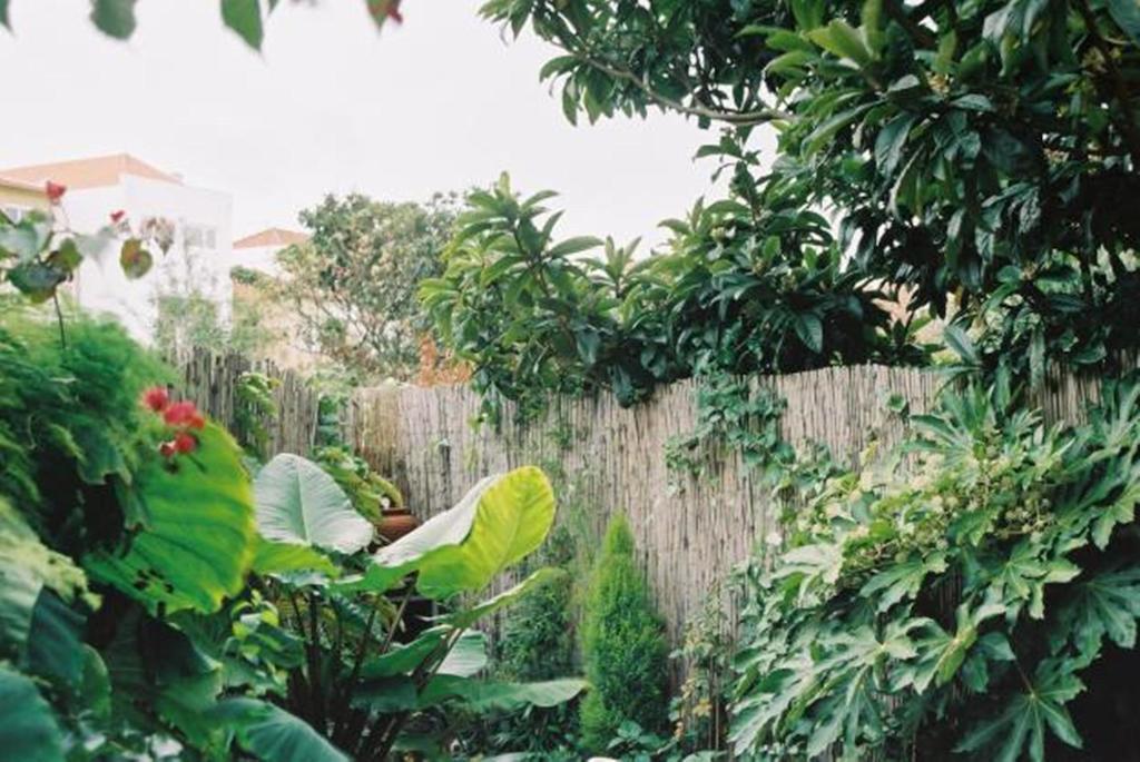 Apartment With Private Garden Porto Bilik gambar